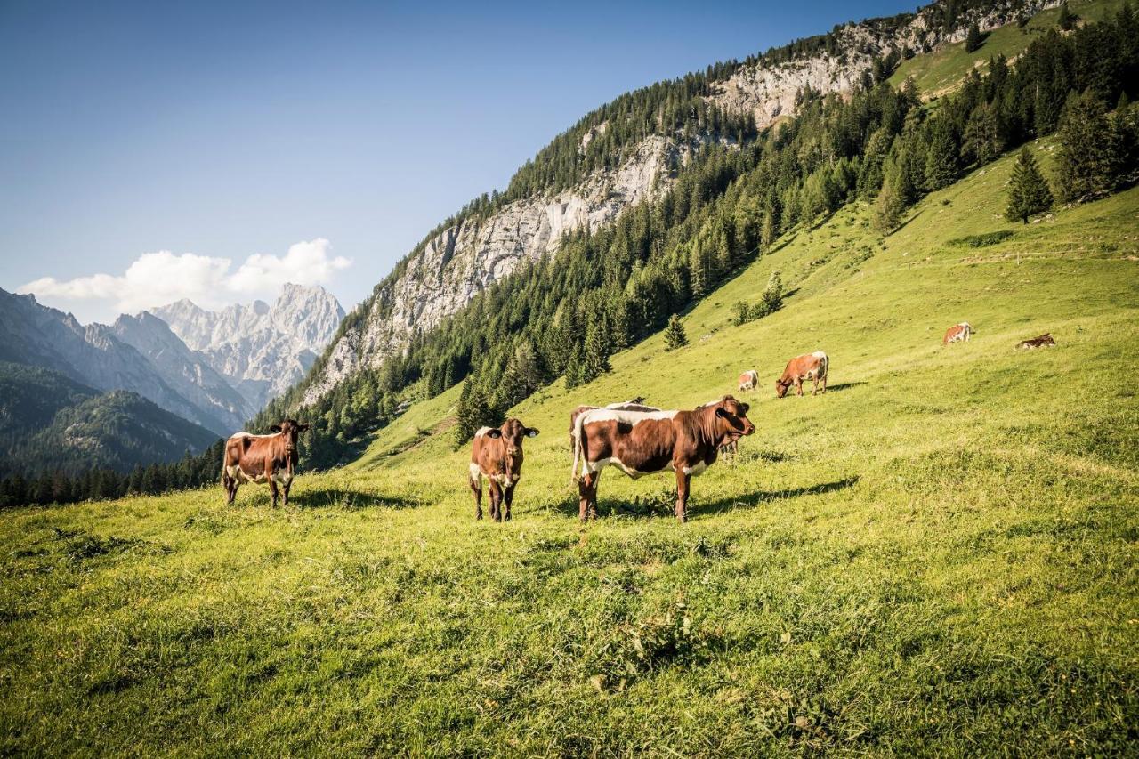 Exklusive Fewo Drachleck Mit 3 Schlafzimmern & Panoramabergblick In Bester Lage Schönau am Königssee 外观 照片